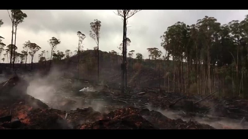 End to an End, Running to save the Great Forest Episode