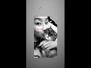 [IG STORY] 230323 Обновление истории в аккаунте кошек Хёрин (xhyo3catsx)