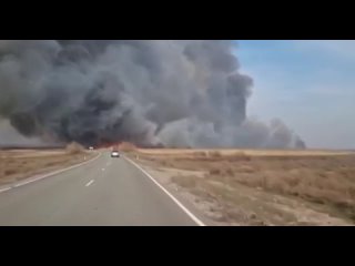 Площадь природного пожара в Астраханском заповеднике увеличилась с 3 до 8 тысяч гектаров