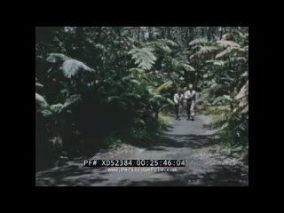 SCHLEY RIDE TO HAWAII 1952 TRAVELOGUE HANA-MAUI RESORT VOLCANOES NATIONAL PARK REEL 2 XD52384 [iCu5NliVIkE]