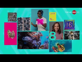 Top 40 (Deluxe Music HD, 24.02.2023) 19-34 места. Фрагмент