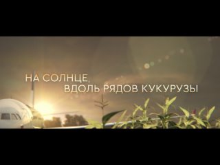 НА СОЛНЦЕ, ВДОЛЬ РЯДОВ КУКУРУЗЫ В КИНО С 16 МАРТА