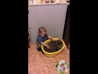 Борьба за тазик развернулась между котом и малышом!