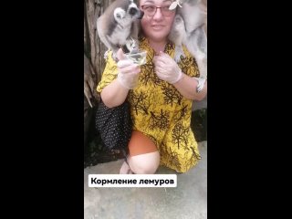 Видео от Ирины Шляпниковой