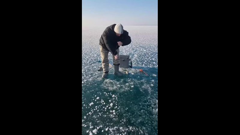 Еле в лунку затащили!