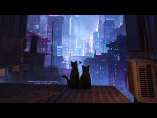 A day in the life of cats  ◍  Rainy lofi playlist