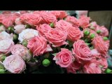 Видео от Аленький цветочек, Шары, Вильского, Красноярск