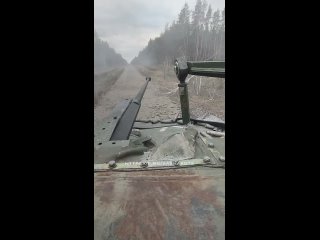 #СВО_Медиа #Kotsnews
Еще одно видео из-под Кременной, где десантники кошмарят противника в сосновых лесах.
