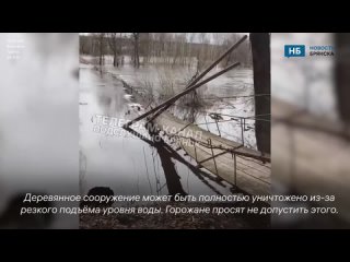 В брянском селе Хотылёво из-за паводка ушёл под воду подвесной мост