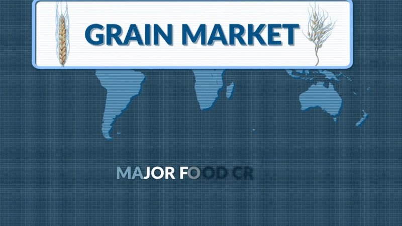 Videoinfographic: Grain Market