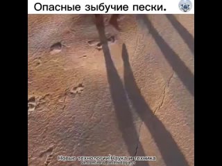 Одно из самых опаснейших природных явлений, которое находится в большей степени в местах где почва перенасыщена влагой... (видео)
