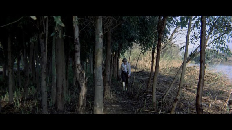 The House Of Lost Women (La Casa De Las Mujeres Perdidas) (1983) [1080p]