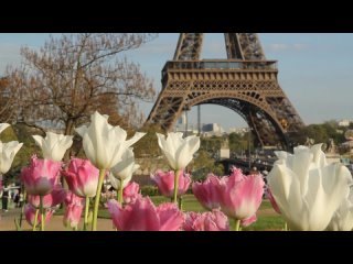 Tatiana Eva Marie  The Avalon Jazz Band - April in Paris (Full Album Visualizer)