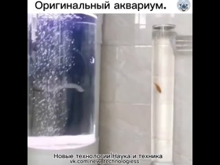 В скучных интерьерах квартир нехватает того, что могло бы поднять нам настроение и создать позитив.   Сантехник с... (видео)