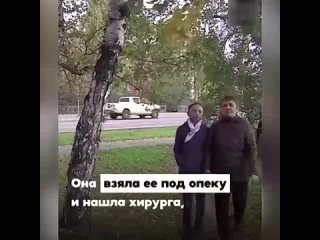 Человек с доброй душой