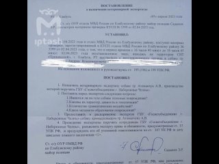 Двое живодёров расстреляли собак в Елабужском районе