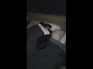 Собачки очень любят спать с хозяевами