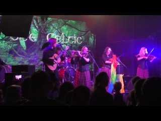 Этно-фолк-группа Bee Celtic - День Святого Патрика 2023 - концерт (, Санкт-Петербург, клуб Factory 3) HD