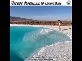 Среди древнейшей пустыни Атакама, которой более 20 миллионов лет как ни странно расположилось одноимённое соляное... (видео)