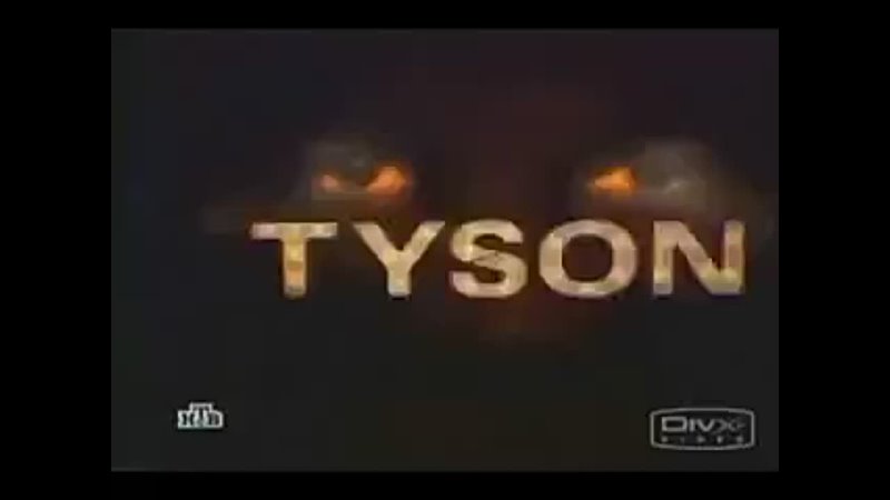 Mike Tyson (higland bella