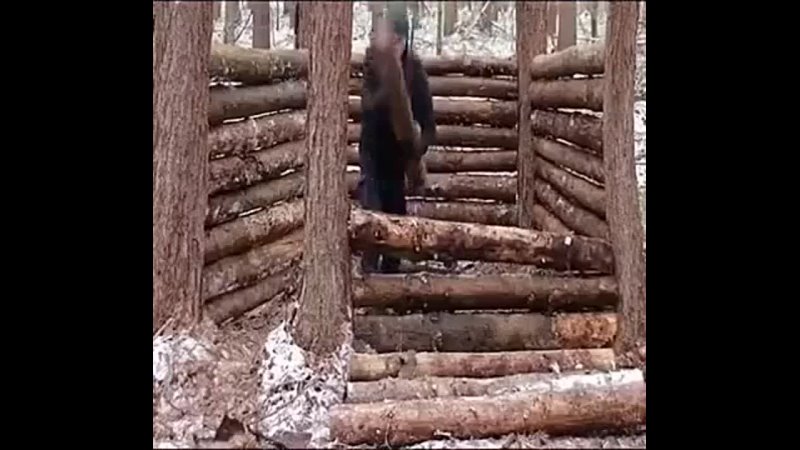 Построил дом в лесу