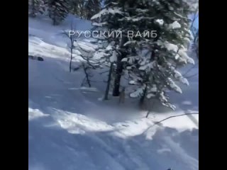 В Шерегеше сноубордистка из Питера провалилась в снежную яму