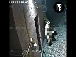 В Сочи эксгибиционист заполз на чужой участок под покровом ночи