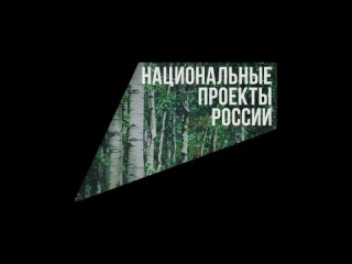 Социальный ролик “Береги лес“ 2