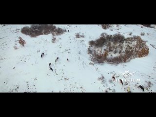 Livanjski divlji konji - Snimci iz zraka - Wild Horses