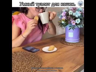 Любителям кошек и их четвероногим питомцам несомненно понравится новая разработка чистого туалета.   Компактная... (видео)