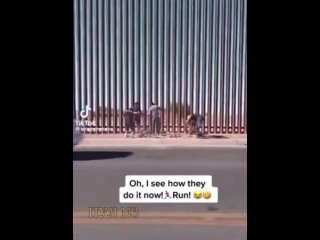 нелегальные мигранты преодолевают “стену Трампа“
