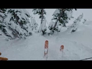 В США лыжник спас сноубордиста, который застрял под снегом