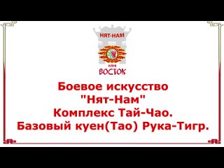 Вьетнамское боевое искусство Нят-Нам. Комплекс Тай-Чао. Рука-Тигр. V Nht-Nam Vit Nam. Tai Chao.