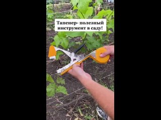 Полезный инструмент для подвязки растений (sarplod)