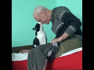 Котик любит своего дедушку 😻