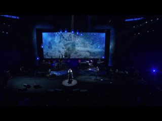 Stevie Nicks - Live In Concert: The 24 Karat Gold Tour