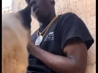 Кот говорит nigga