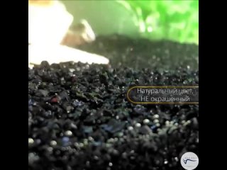 Грунт MARIENS Гавайский песок, естественный черный, глянцевый, 3 кг, размер фракции: 0,5-3,0 мм, для аквариума