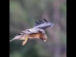 Класс!👍 Всё лучшее придумала сама природа! - Павел Кокорин