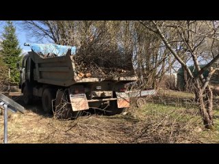 Вывоз спиленных деревьев, веток