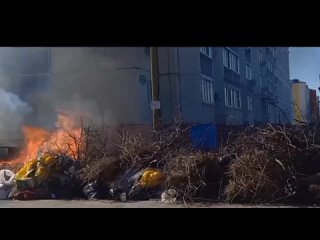 В Бузулуке стали массово гореть контейнерные площадки