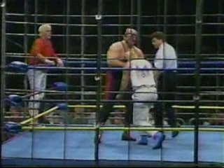 WCW Clash Of The Champions XXII 01/13/1993 Part II