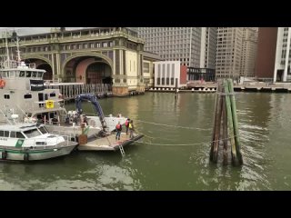 Watch What Happens When the Coast Guard and NYPD Come Aboard Our Dive Boat-