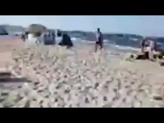 270423 🎦 739. dzień pobytu Kici u mnie 25 sierpnia 2019 roku: Kicia na plaży w Świnoujściu - nowa skrócona wersja