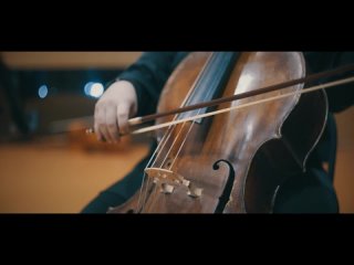 Инструментальное исполнительство. Оркестровые струнные инструменты