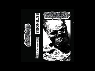 Estenosis (Spain) - Orgía Necrofilica (Demo 2023) #блэкухаласкаетухо #blackmetal #black_metal