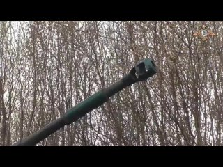 ⚡️ “Гвоздики“ 132 бригады уничтожают позиции врага под Донецком

Расчет 122-мм самоходной артиллерийской установки 2С1“Гвоздика“