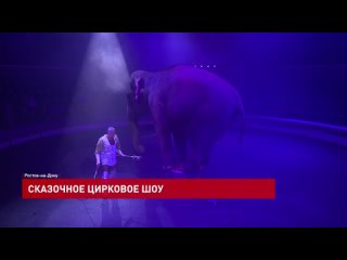 В Ростове-на-Дону начинаются спектакли легендарного итальянского циркового шоу «Счастливый билет»