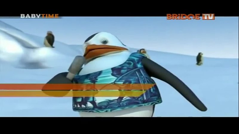 Schiffie Co Pinguindans Bridge TV ( Baby