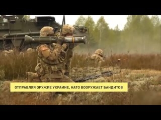Отправляя оружие Украине, НАТО вооружает бандитов